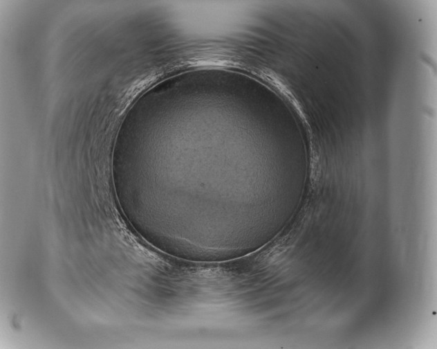 X0000101160385200807071203