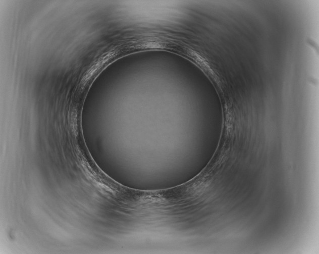 X0000101160386200807071203