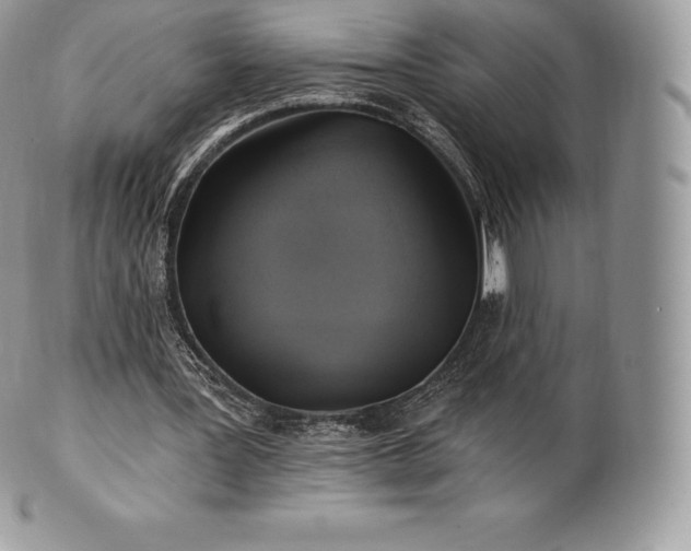 X0000101160387200807071203