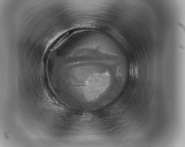 X0000101160388200807071203