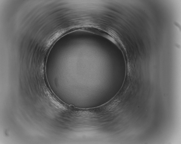 X0000101160389200807071203