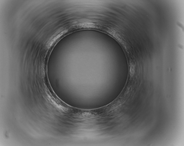 X0000101160390200807071203