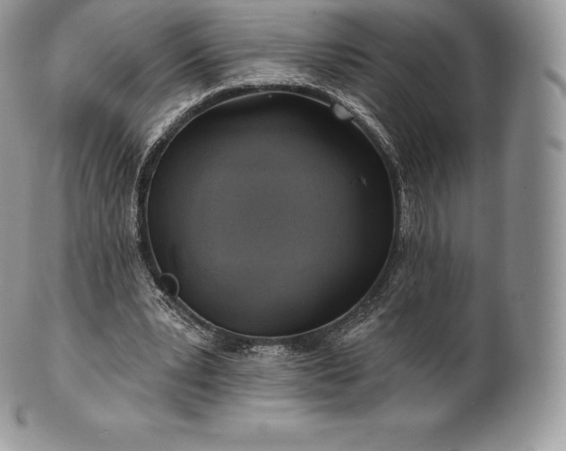 X0000101160391200807071203