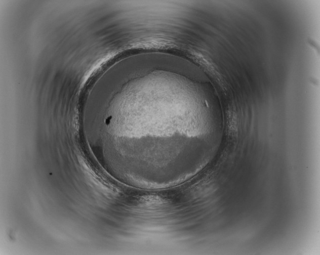 X0000101160392200807071203