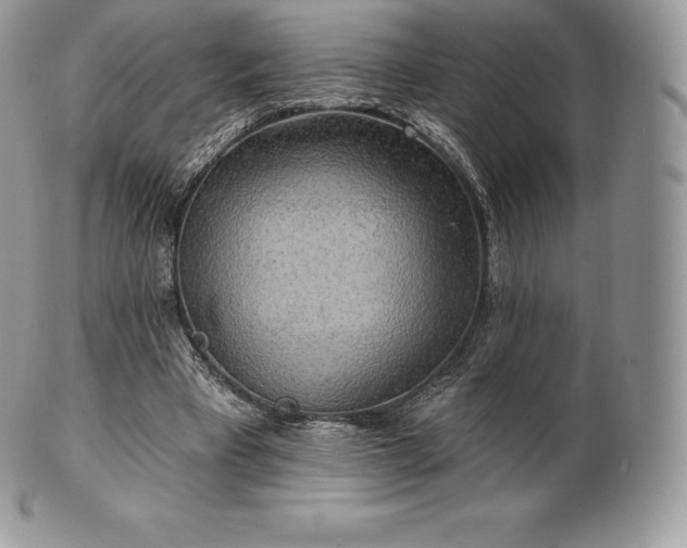 X0000101160393200807071203