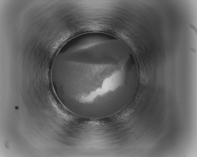 X0000101160394200807071203