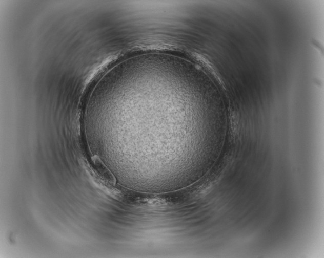 X0000101160395200807071203