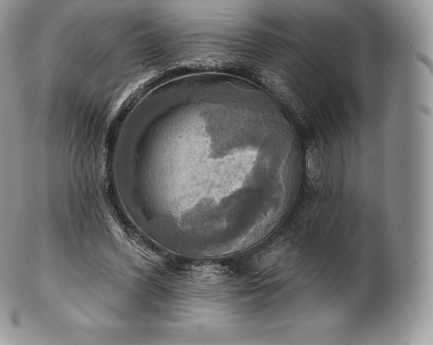 X0000101160396200807071203