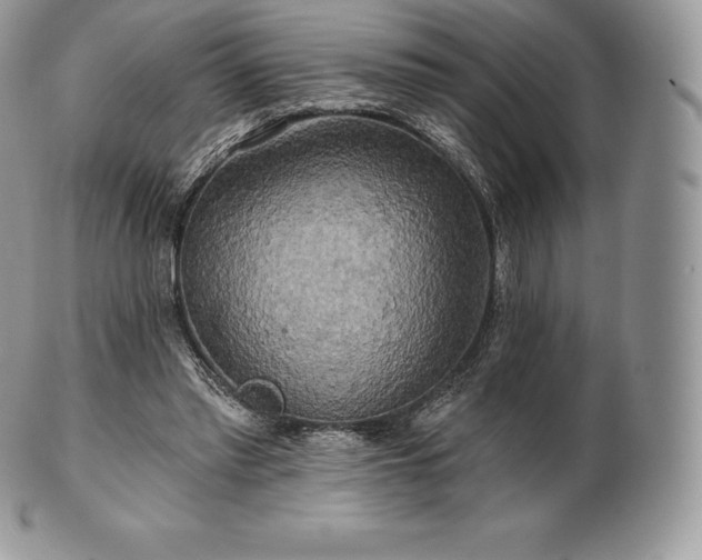 X0000101160397200807071203