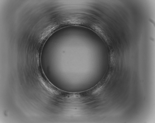 X0000101160398200807071203