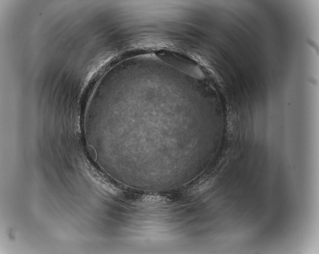 X0000101160399200807071203