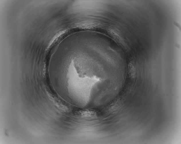 X0000101160400200807071203