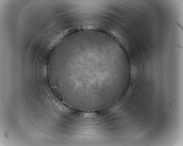 X0000101160401200807071203