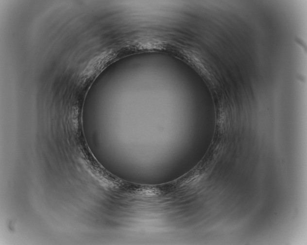 X0000101160402200807071203