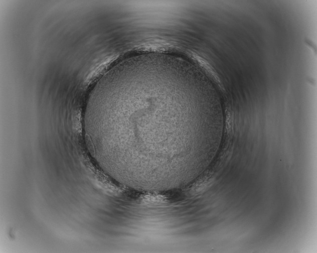 X0000101160403200807071203