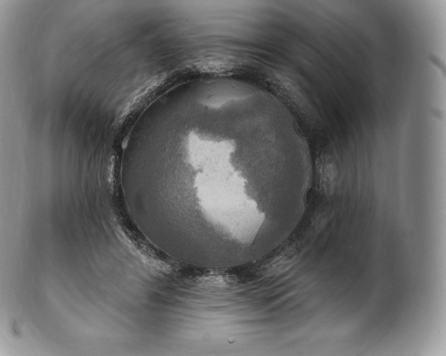 X0000101160404200807071203