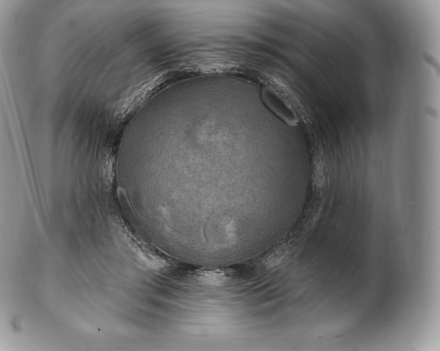 X0000101160405200807071203