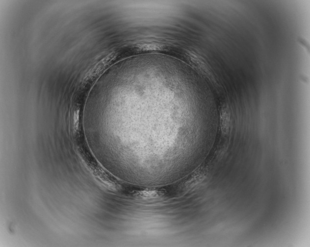 X0000101160406200807071203