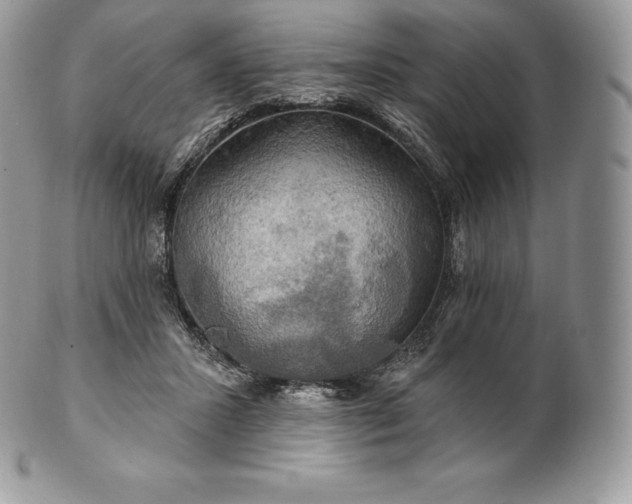 X0000101160407200807071203