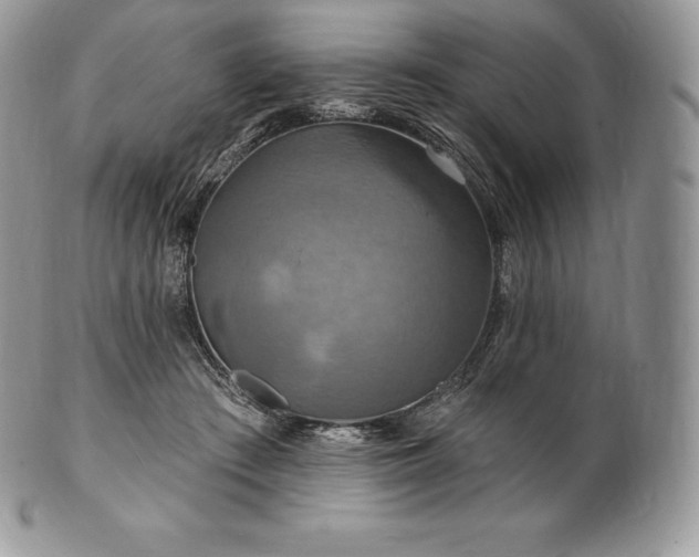 X0000101160409200807071203