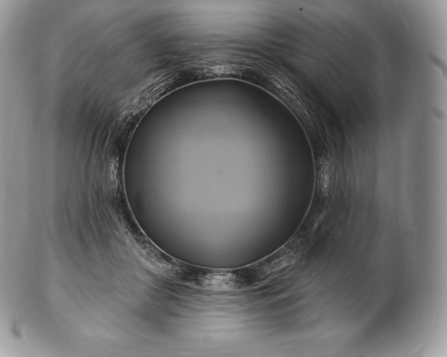 X0000101160410200807071203