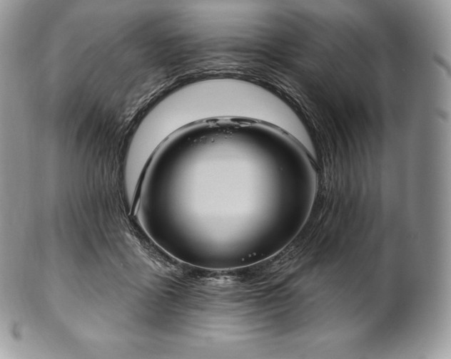 X0000101160411200807071203