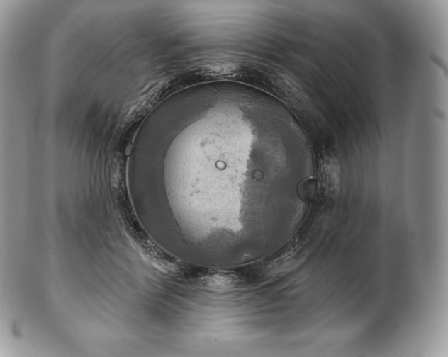 X0000101160412200807071203