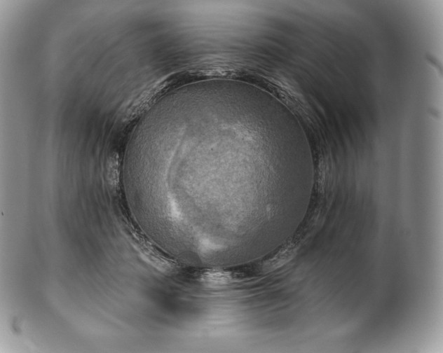 X0000101160413200807071203