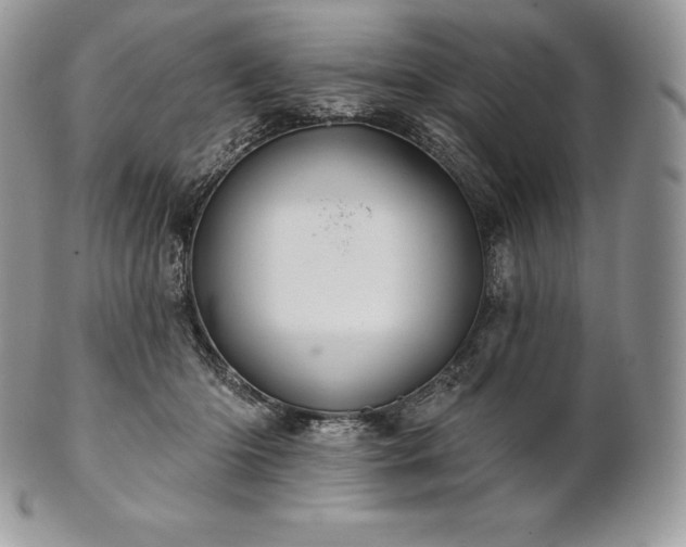 X0000101160414200807071203