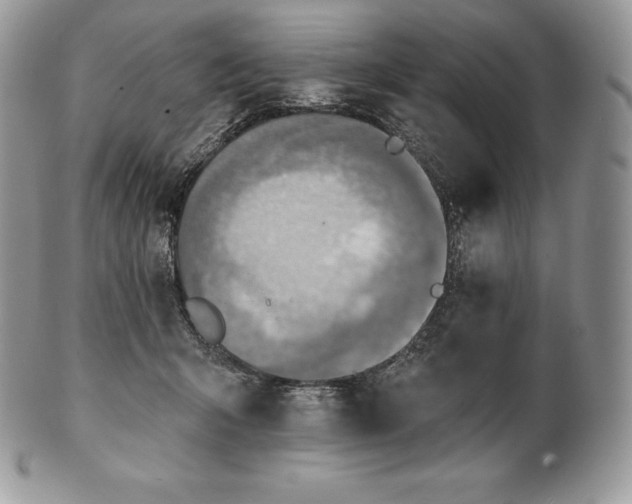 X0000101160415200807071203