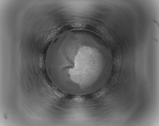 X0000101160416200807071203