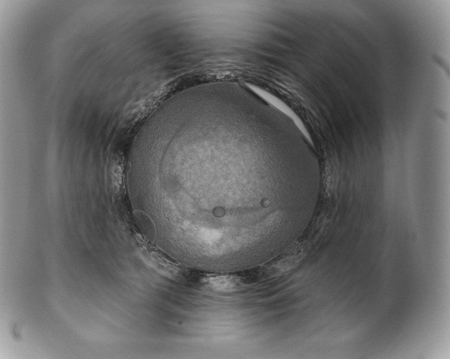 X0000101160417200807071203