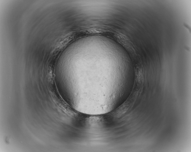 X0000101160418200807071202