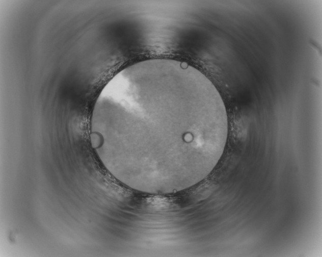 X0000101160419200807071202