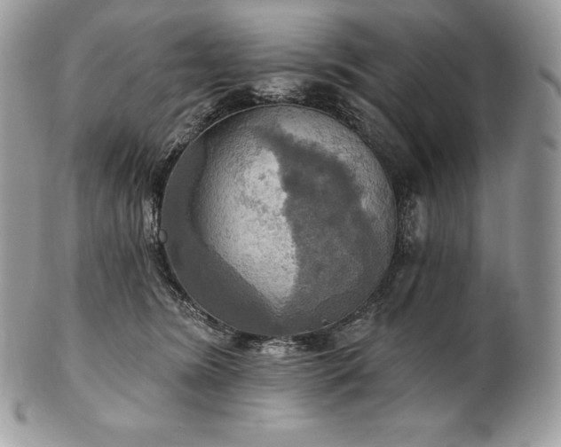 X0000101160420200807071202