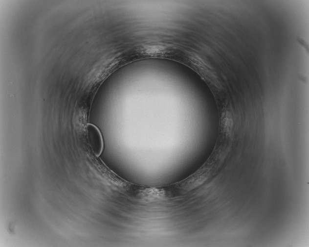 X0000101160421200807071202