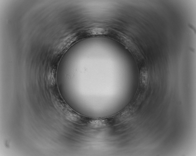 X0000101160422200807071202