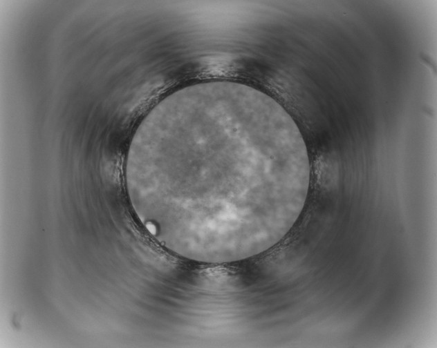 X0000101160423200807071202