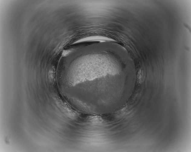 X0000101160424200807071202