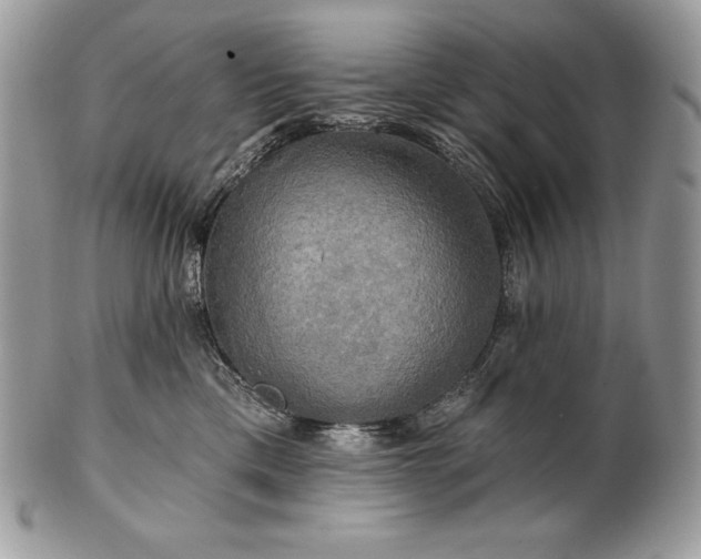 X0000101160425200807071202