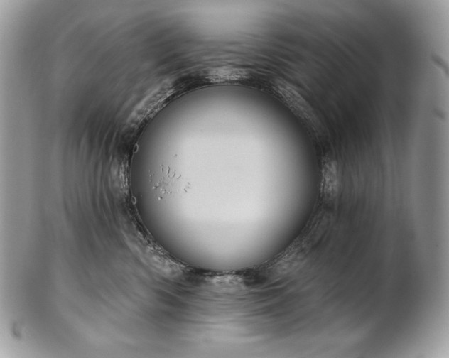 X0000101160426200807071202