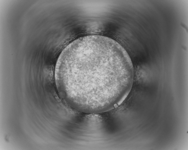 X0000101160427200807071202