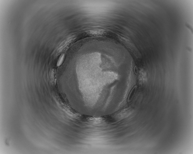 X0000101160428200807071202