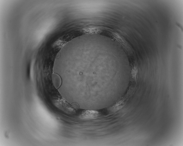 X0000101160429200807071202