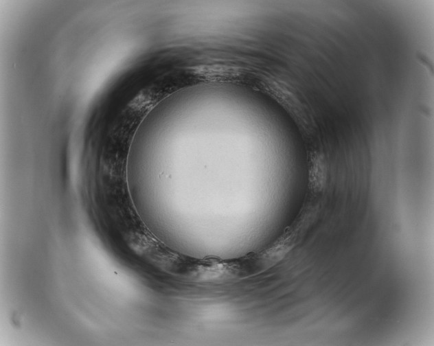 X0000101160430200807071202