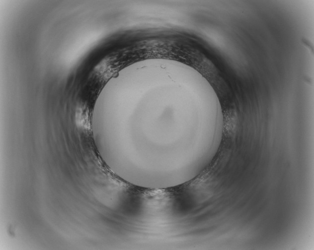 X0000101160431200807071202