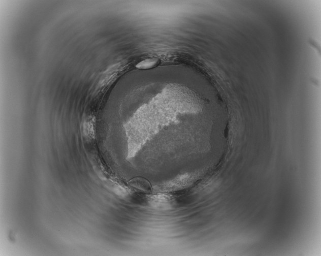 X0000101160432200807071202