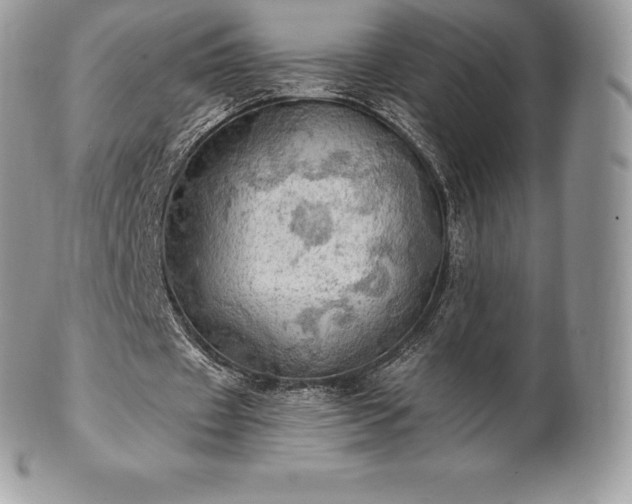 X0000101160433200807071202