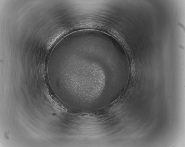 X0000101160434200807071202