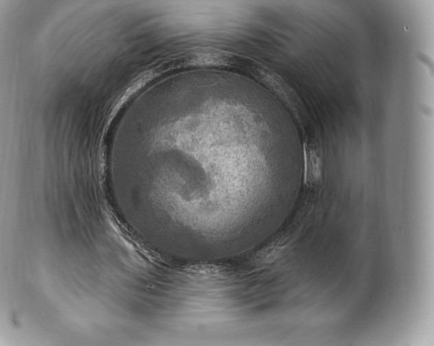 X0000101160435200807071202